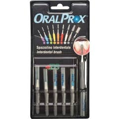 Oralprox Blister 6Pz Mis 7 Gri