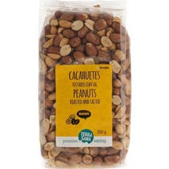 Terrasana Roasted Peanuts With Salt 250g