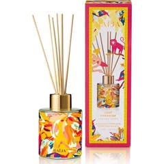 Baija Paris Lost Paradise Piña Tonka Recarga Hogar 120ml