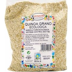 Quinoa en grano Eco Intracma 500g