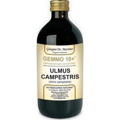 Dr. Giorgini Gemmo 10+ Olmo Campestre 500ml