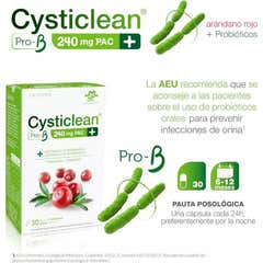 Cysticlean Pro-B 30caps