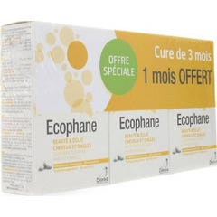 Bailleul-Biorga Ecophane Cpr 60 Lot 3