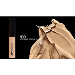 Rich Cover Concealer N30