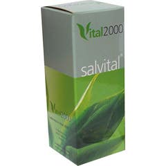 Vital 2000 Salvital 11 Natrum Muriaticum 40 kapsler