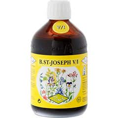 Pianto San Joseph V/I Bio 510g