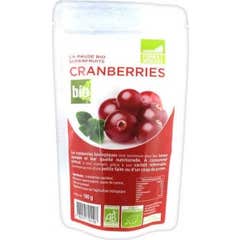 Arándanos rotos Bio Break 100G