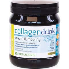 COLLAGEN DRINK LIMONE 295G