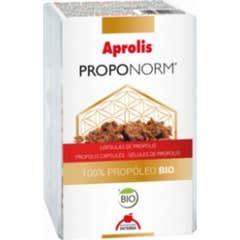 Proponorm 60 Cap.intersa