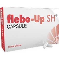 Shedir Flebo-Up 30 Kapseln