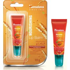 Himalaya Bálsamo Labial Nutritivo 10 g