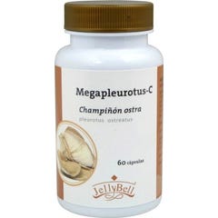 Auroshikha Conos Jardin de la Naturaleza Fragancia Incienso 20uds