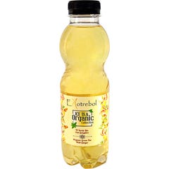 Ekotrebol Ginger Green Tea Bio Liquid
