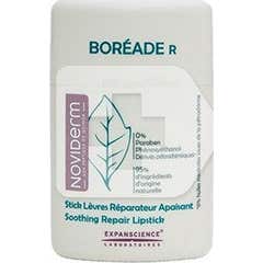 Boréade R stick reparador 11ml
