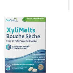 XyliMelts Boca Seca Menta Dulce Sin Azúcar 40comp