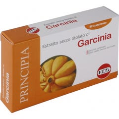 GARCINIA ESTR SEC 60CPR 25,2G