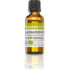 Terpenic Lavandin Etherische Olie Bio 30ml