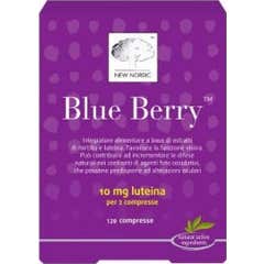 Blue Berry 120Cpr New Nordic