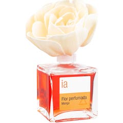 Interapothek Duftende Blomst Mango 80 ml