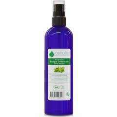 Voshuiles Hidrolato Salvia Officinalis Cosmos 200 ml