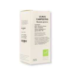 Oti Ulmus Campestri Mg 10% 100ml