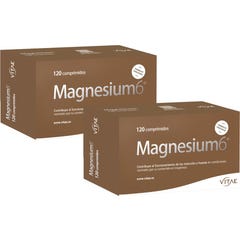 Vitae Magnesium6 120 comp x 2
