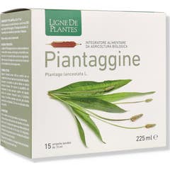 Ligne De Plantes Piantaggine 15x15ml