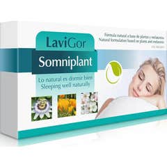 Lavigor Somniplant 40caps