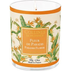 Collines de Provence Vela Perfumada Flor del Paraiso 180g