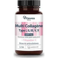 Vitavea Multi Colágeno Tipo I II III V X 50comp