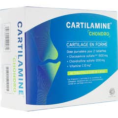 Cartilamine Chondro 60 Envelopes