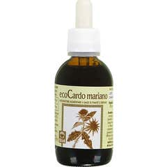 Ecol Ecocardo Mariano Extracto Analcohólico 50ml