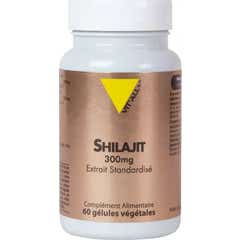Vit'All+ Shilajit 300mg Extracto Estandarizado 60caps