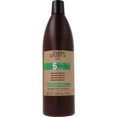 Dikson Every Green Oxidant 5 Volumen 1,5 1000 ml