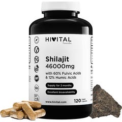 HIVITAL Shilajit puro 46000 mg 120 cáps