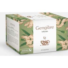 Dietmed Zenzero Infuso 20 Bustine