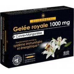 Oligoroyal Gr-Mn-Cu 20 Ampollas