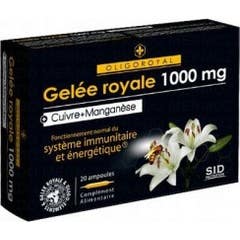 Oligoroyal Gr-Mn-Cu  Amp 20