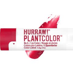 Hurraw! Plantcolor Lippenkleur No 1 4.8 g