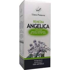 Linea Panacea Remedia Angelica 80 caps