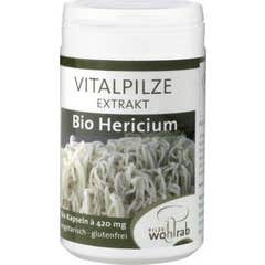 Pilze Wolhrab Criniera di Leone Bio 60caps