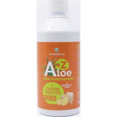 Vonderweid Aloe + Zenzero Digestivo 500 ml