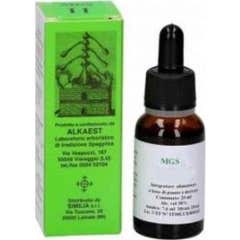 Alkaest Mgs9 Ippocastano Macerato Glicerico 20ml