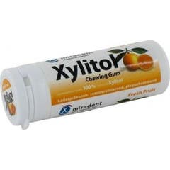 Hager & Werken xylitol gum fresh fruit flavour 1 pc