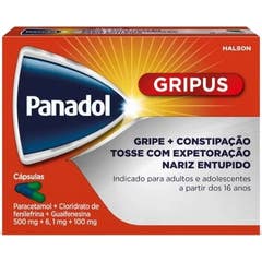 Gsk Ch Panadol Gripus 500mg + 6.1mg + 100mg 16caps