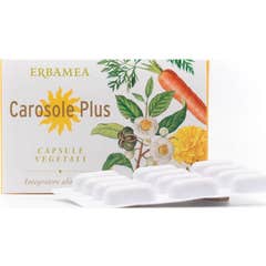 Erbamea Carosole Plus Sin Gluten 24caps