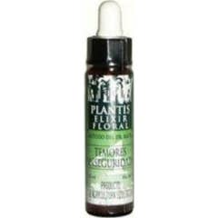 Plantis Remedy 4 Angsten Onzekerheid 10ml