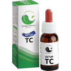 Meridian Flowers Remedy Setup TC 10ml