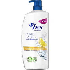 Head & Shoulders Citrus Fresh Champú Anticaspa Grasos 1000 ml