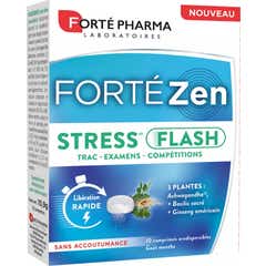 Forte Pharma Forte Stress Flash 10 Comp